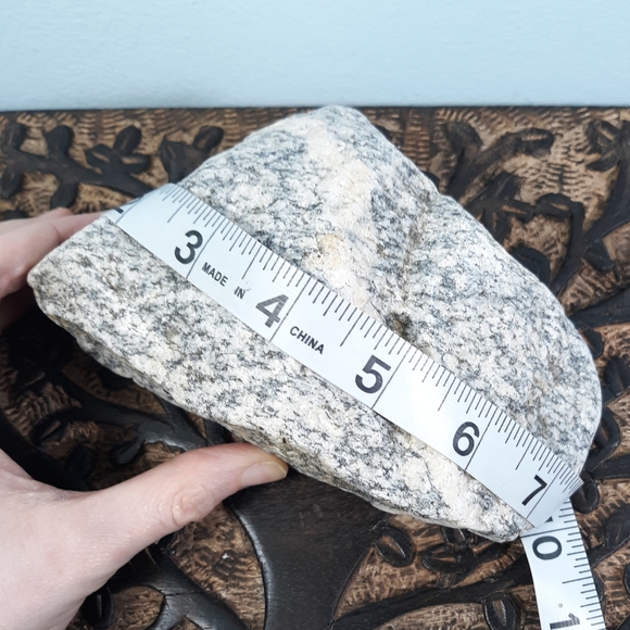 Maine Banded Granite Stone East Coast Beach Rock Raw Mineral Specimen Gray White - Picture 4 of 12